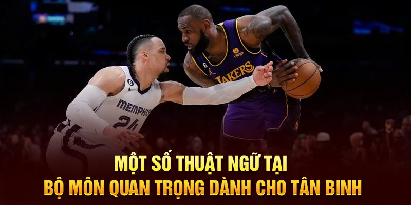 Những từ ngữ quan trọng mà newbie cần biết khi bắt đầu học môn này