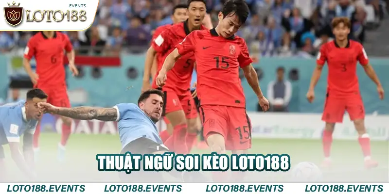 Thuật ngữ soi kèo Loto188